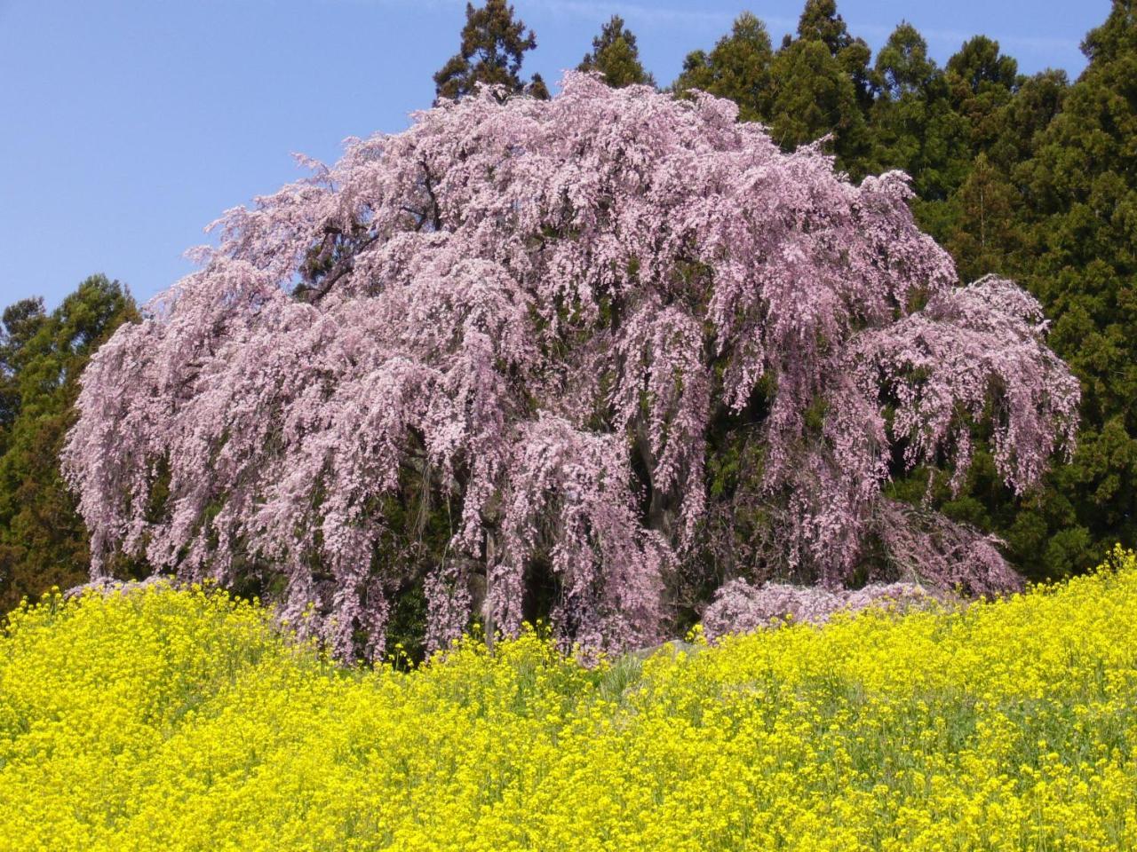 Azumakan Nihonmatsu Buitenkant foto
